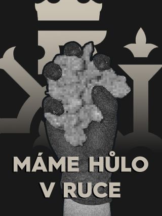 Chceš mít na 17.listopad taky hůlo v ruce? Tak v tomto týdnu pořídíš všechny naše modely se 42% slevou! 🌱🇨🇿